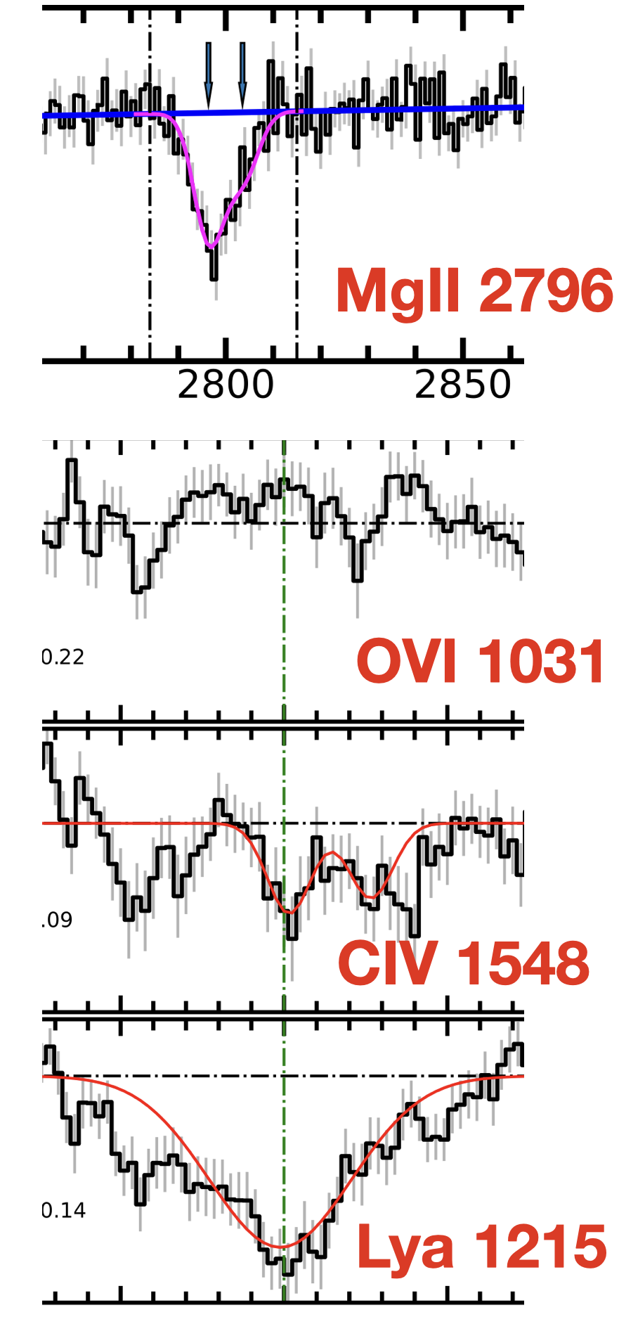 CGM of the LMC