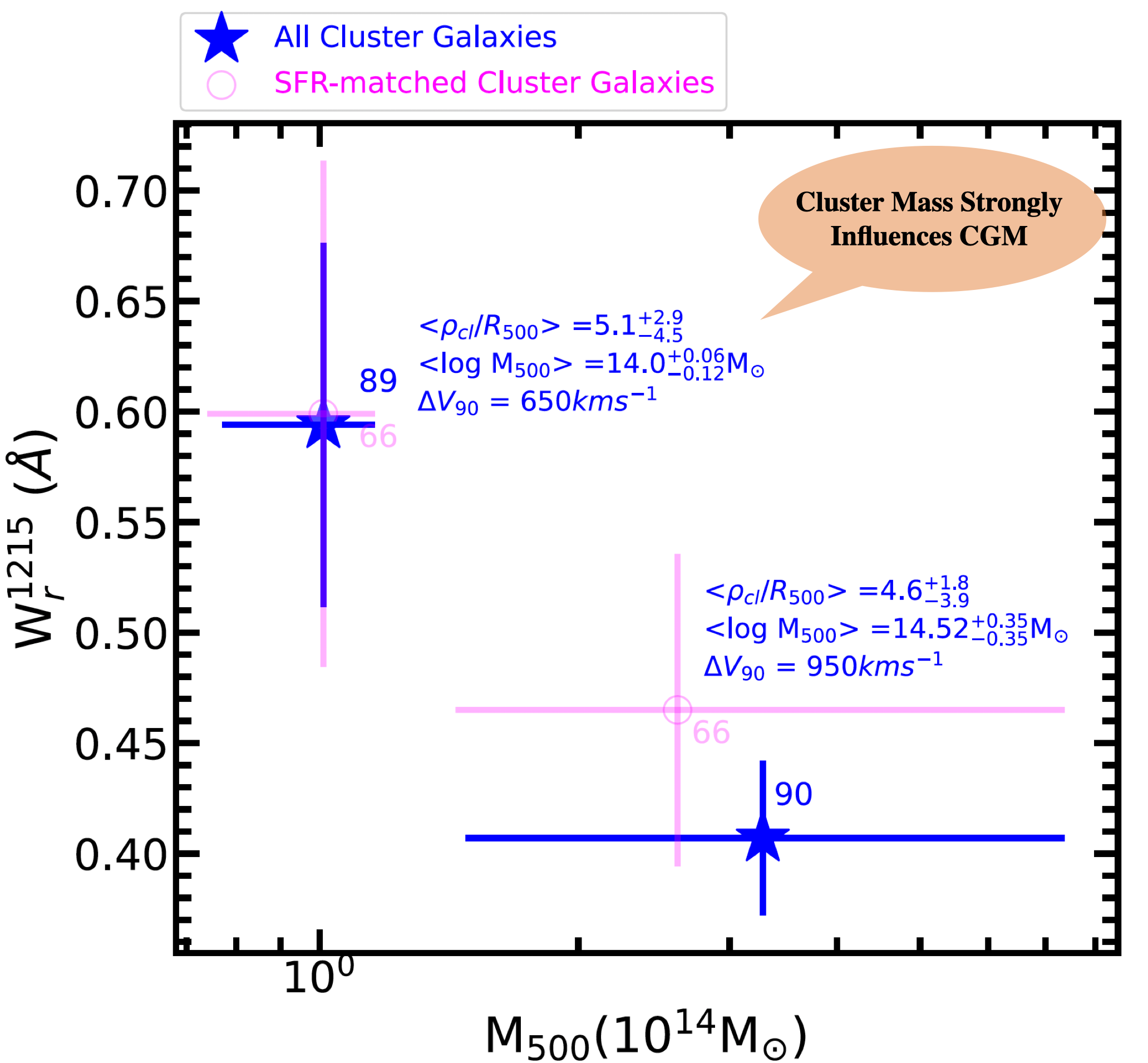 The CGM of the Cluster Galaxies